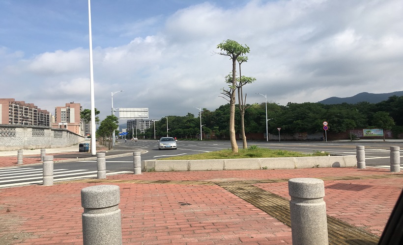 바카라 규칙