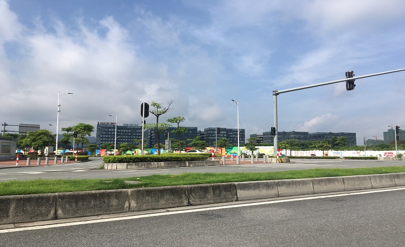 로투스 바카라